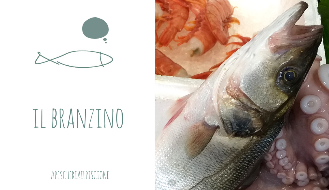 Il Branzino