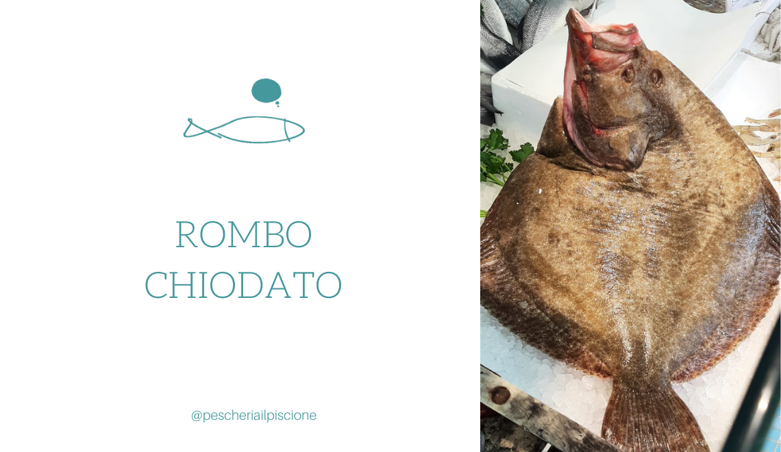 Rombo chiodato Pescheria Il Piscione