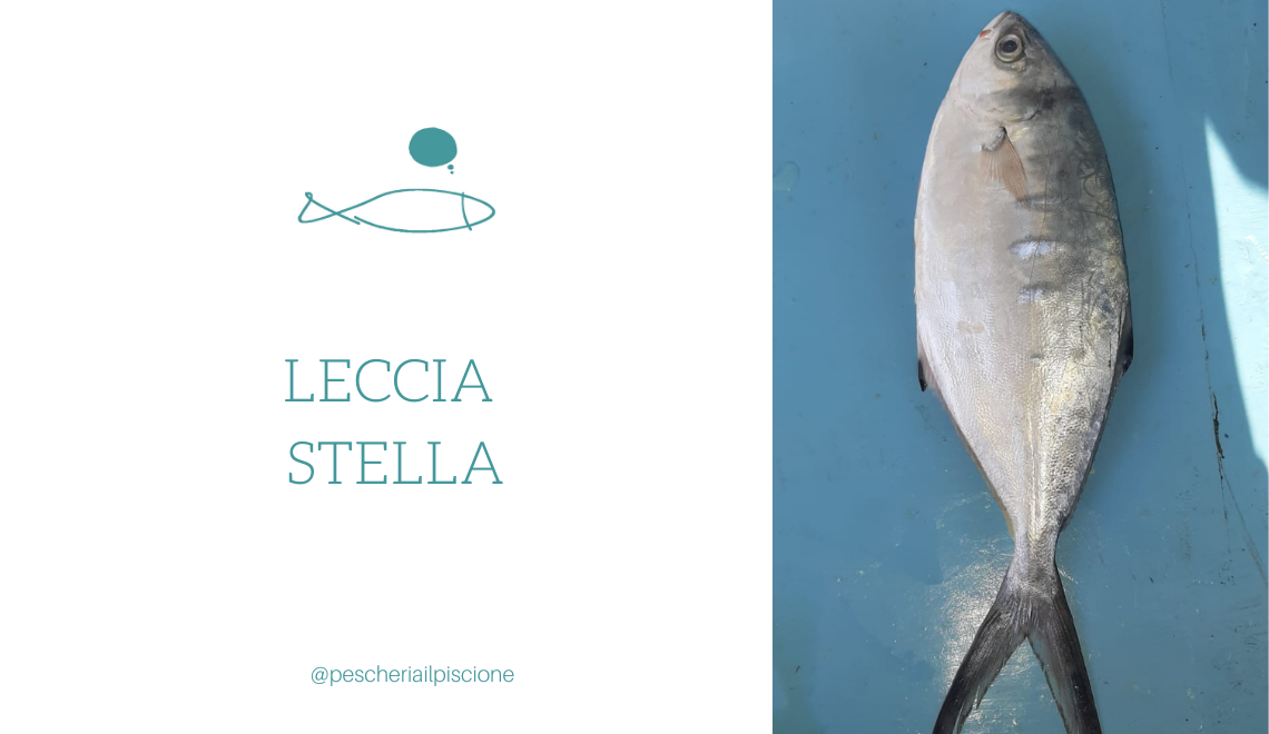 La Leccia Stella